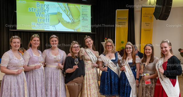 DSC_7510 | Der Bergsträßer Weintreff ist traditionell die Auftaktveranstaltung für den Bergsträßer Weinfrühling. Alljährlich April  bietet der Weintreff im Bürgerhaus Bensheim die einmalige Gelegenheit, fast 170 Bergsträßer Weine, Seccos und Sekte von 19 Weinbaubetrieben an einem Ort zu probieren. Nahezu alle Bergsträßer Betriebe sind vertreten und bieten ihre Spezialitäten an. Bild: Thomas Neu