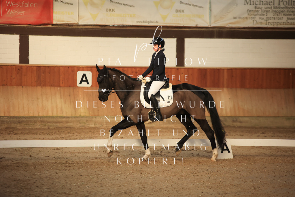 IMGT3293 | pl-fotografie