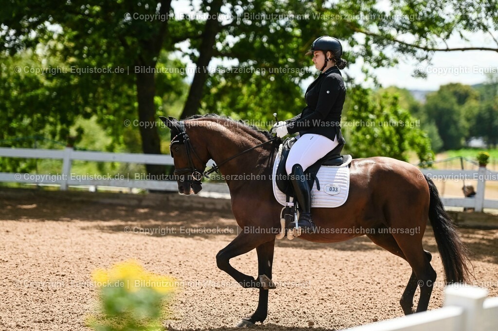 20230716_03_Dressurprfg. Kl.L - Tr._0099 | equistock