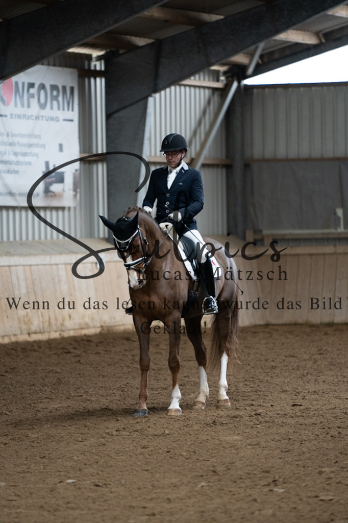 A7V04650 | Pferdefotograf