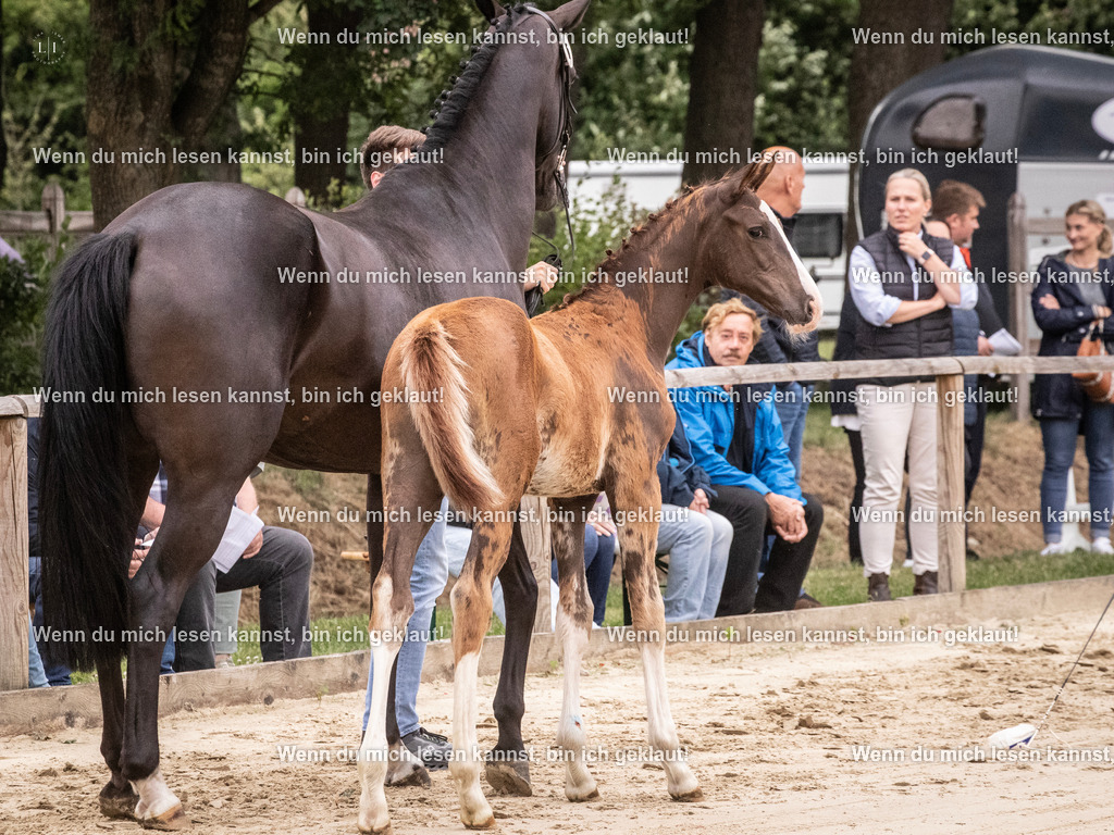 A10I9999 | photographylinaismer - Realisiert mit Pictrs.com