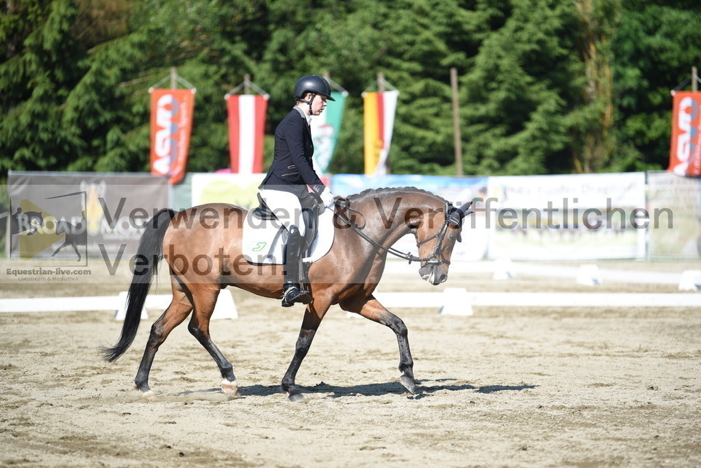 DSC_7655 | equestrian-live-com