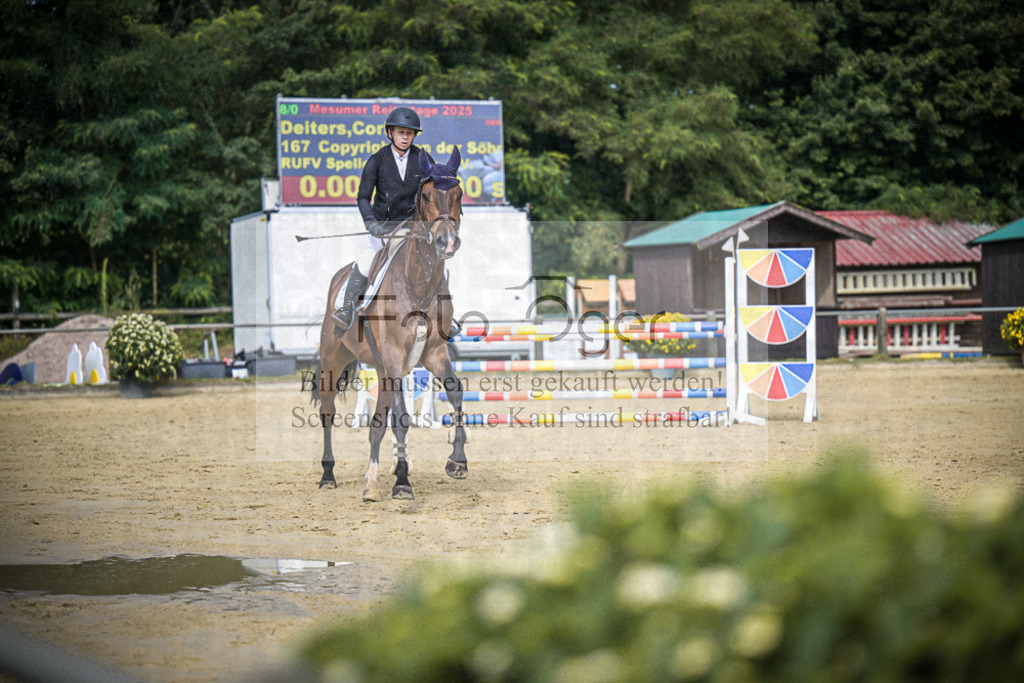 DOS_4935 | Entdecke hochwertige Reitturnierfotos von Foto Oger. Professionell, emotional und authentisch – jetzt Lieblingsmomente im Shop bestellen.Deutschlandweite Turnierfotografie. - Realisiert mit Pictrs.com