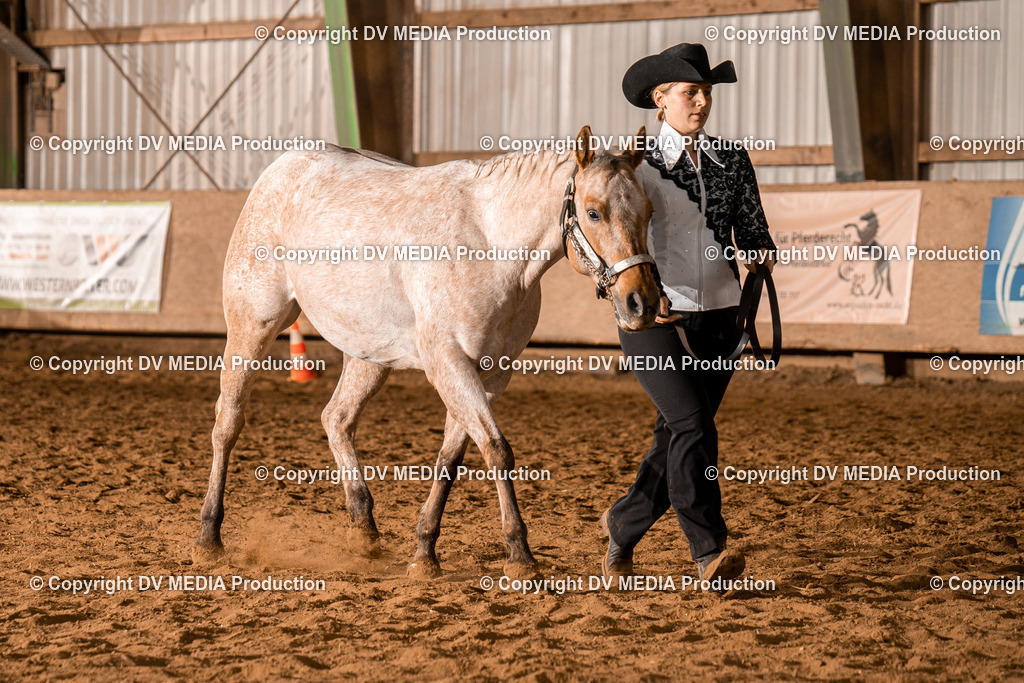 BAL01325 | dv-media-shop - Realisiert mit Pictrs.com