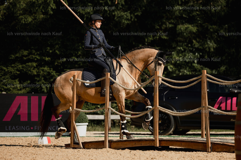 Diana11_FHC2025-27528 | working equitationturnier fotograf videograf stoibphotography marixx film working equitation deutschland reitsport turnierfotografie eventfotografie equestrian events