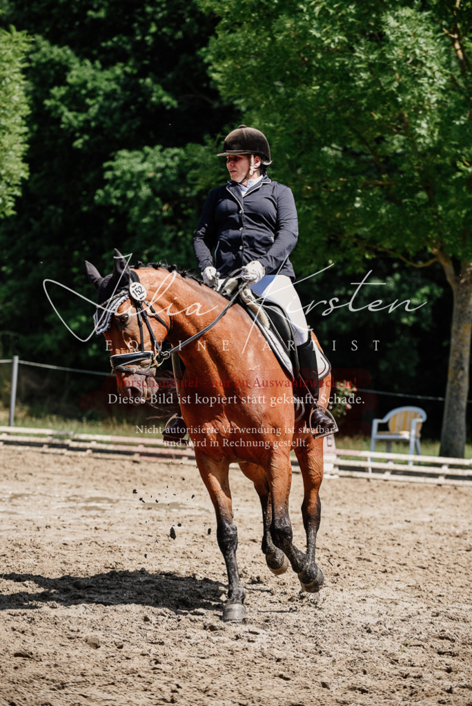 DSC_1991 | Pferde- und Turnierfotografie in Westsachsen. Pferdeportraits, Auftragszeichnungen und intuitive Kunst.