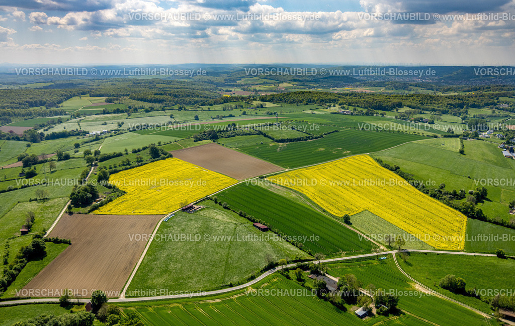 Nieheim240504645BootImHaus | Luftbild, NSG Naturschutzgebiet Hinnenburger Forst mit Emder Bachtal, Waldgebiet mit grünen Wiesen und gelben Rapsfeldern, Fernsicht mit blauem Himmel und Wolken, Pömbsen, Bad Driburg, Ostwestfalen, Nordrhein-Westfalen, Deutschland