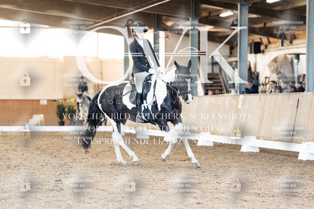 CK907656 | Turnierfotografie Pferdefotografie Trier Rheinland-Pfalz Pferdesport Reitsport Tierfotografie Sportfotografie Pferdevideo Pferdevideografie Equestrianvideography equestrianphotography  - Realisiert mit Pictrs.com
