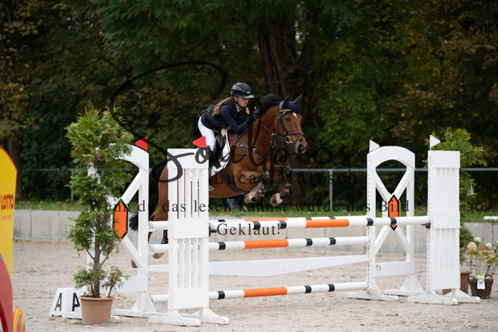 A7V09936 | Pferdefotograf