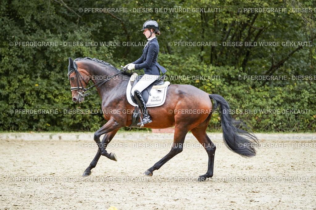 DSC02042 | Pferdegrafie