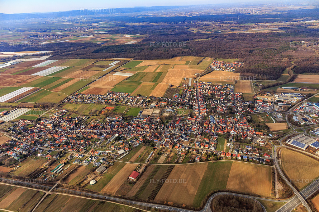 Luftbild: Ortsansicht von Süden in Schwegenheim im Bundesland Rheinland-Pfalz in Deutschland. Foto: IMG_125844.jpg vom 07.03.2021 durch Werner Riehm/FLY-FOTO.de