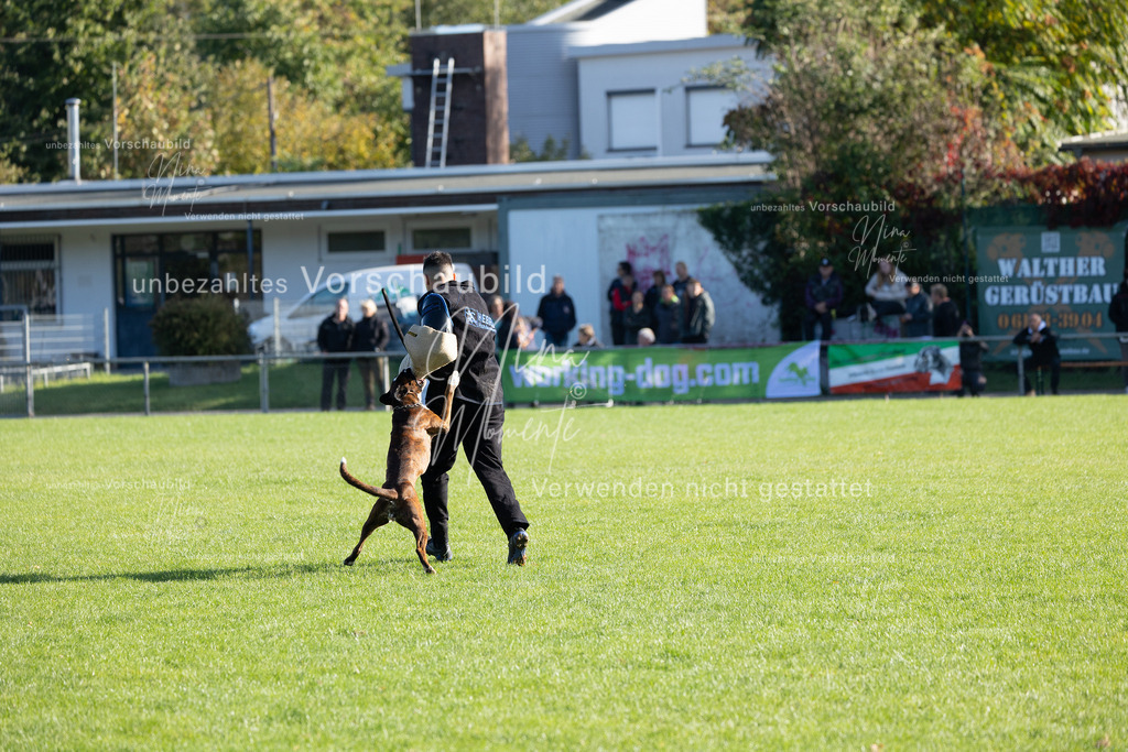 _16A5113 | Einzigartige Fotos von Hunden & Menschen –Actionfotos, Portraits, Vereinsaufnahmen & Paarshootings – authentisch, lebendig & mit Herz.
