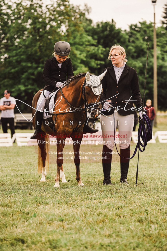 DSC_5261 | Pferde- und Turnierfotografie in Westsachsen. Pferdeportraits, Auftragszeichnungen und intuitive Kunst.