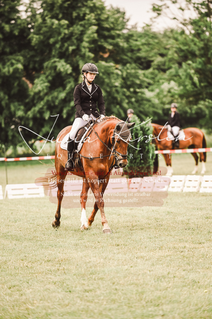 DSC_4797 | Pferde- und Turnierfotografie in Westsachsen. Pferdeportraits, Auftragszeichnungen und intuitive Kunst.