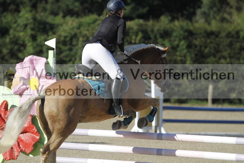 _MG_3827 | equestrian-live-com