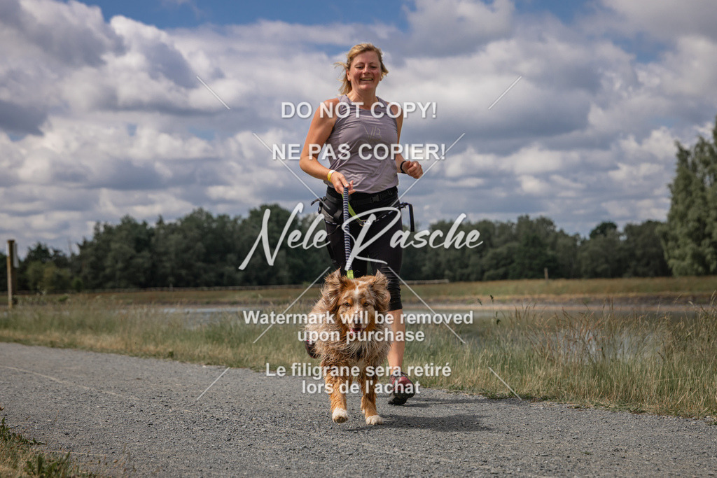 nelerasche_BuHu2026_SaCC1100-1200_90 | nelerasche