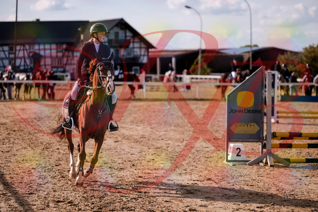 2026_10_03_Siefer-Hof_155735_Z81_77001766 | Professionelle Reitsport-, Turnier- und Eventfotografie von Robert Broda. Galerien mit ausgewählten und bearbeiteten Bildern direkt online ansehen und bestellen.