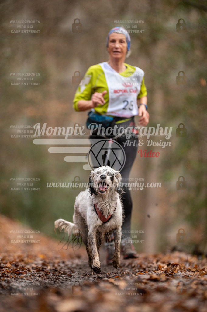 SPA_2023_DIM_CCL-121 | PayLife