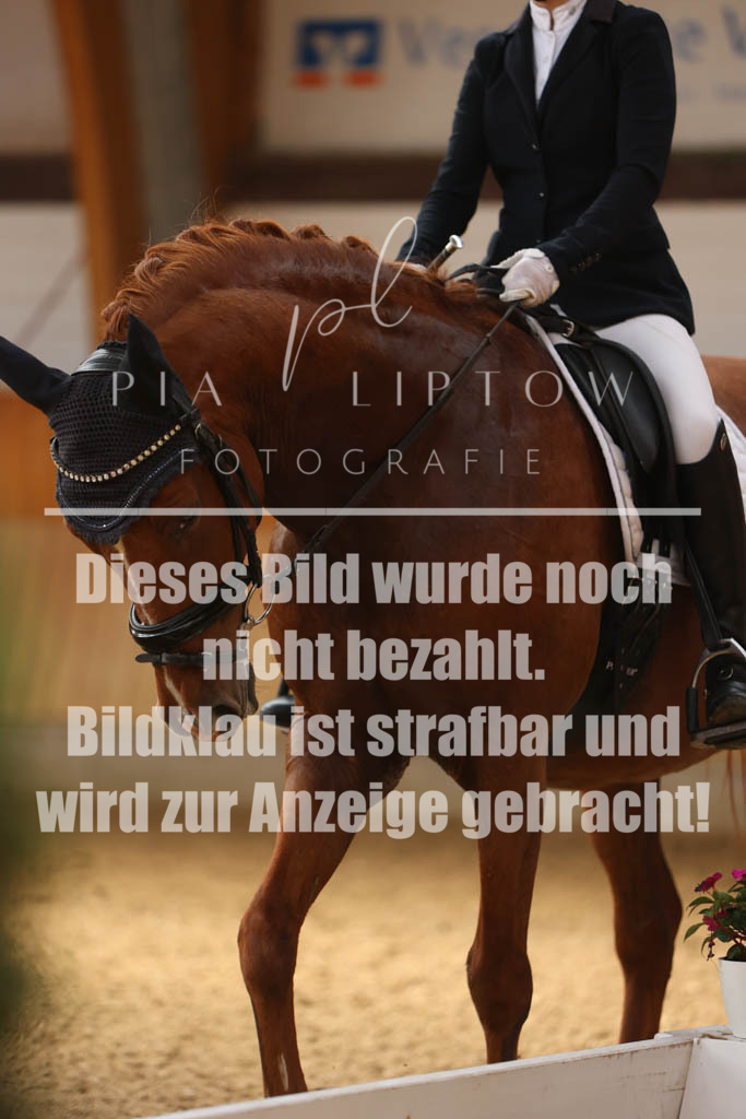 IMGS0485 | pl-fotografie