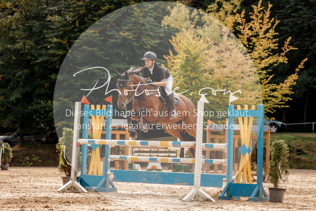 3I6A4586 | Stimmungsvolle Portraits und Reitsportfotografie im Ruhrgebiet und im Münsterland.

Pferdefotografie, Hundefotografie, Tierfotografie, Reportagen, Portraits von Tier und Mensch, Turnierfotografie in Bochum, Recklinghausen, Marl, Haltern am See, Dülmen.. - Realisiert mit Pictrs.com