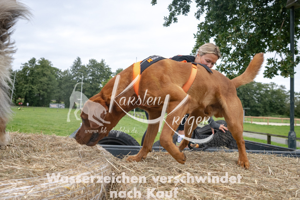 1209_ZZ94594 | kk-dogfotos