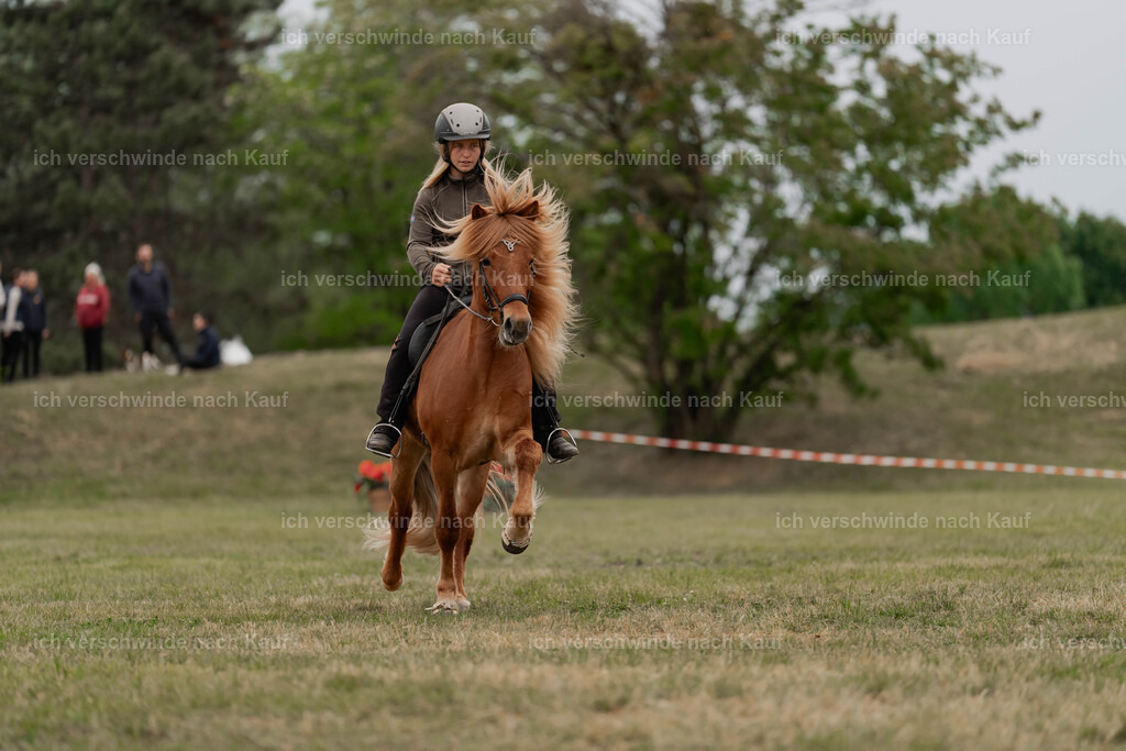 Showprogramm-483 | working equitationturnier fotograf videograf stoibphotography marixx film working equitation deutschland reitsport turnierfotografie eventfotografie equestrian events
