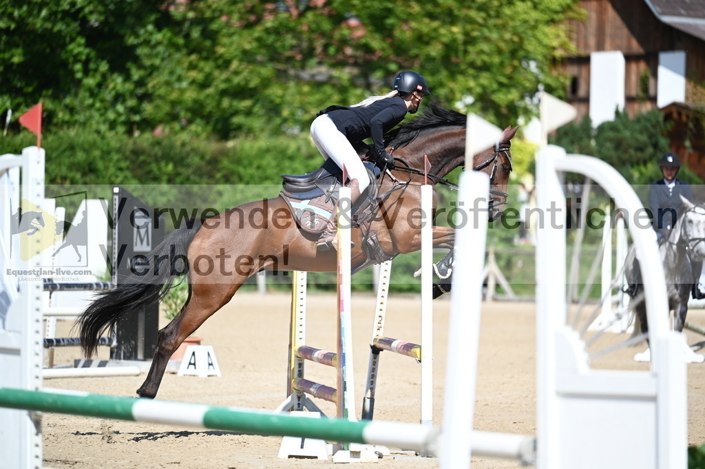 DSC_8303 | equestrian-live-com