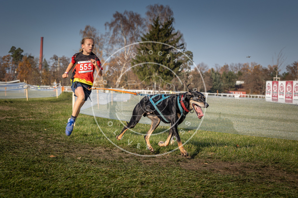 CaniXpix_0L8A9141 | Hundefotografie, Tierfotograf, Pfotenfotografie, Fotoshooting Hund, Hunde Portrait, Hundesport, Hundeportraits, Heideshooting, Hunde, Sportfotograf, Hundefotograf, Turnierhundsport, THS,  - Realisiert mit Pictrs.com
