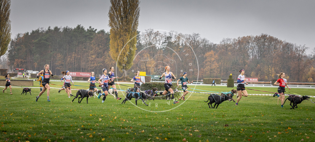 CaniXpix_DV3A8739 | Hundefotografie, Tierfotograf, Pfotenfotografie, Fotoshooting Hund, Hunde Portrait, Hundesport, Hundeportraits, Heideshooting, Hunde, Sportfotograf, Hundefotograf, Turnierhundsport, THS,  - Realisiert mit Pictrs.com