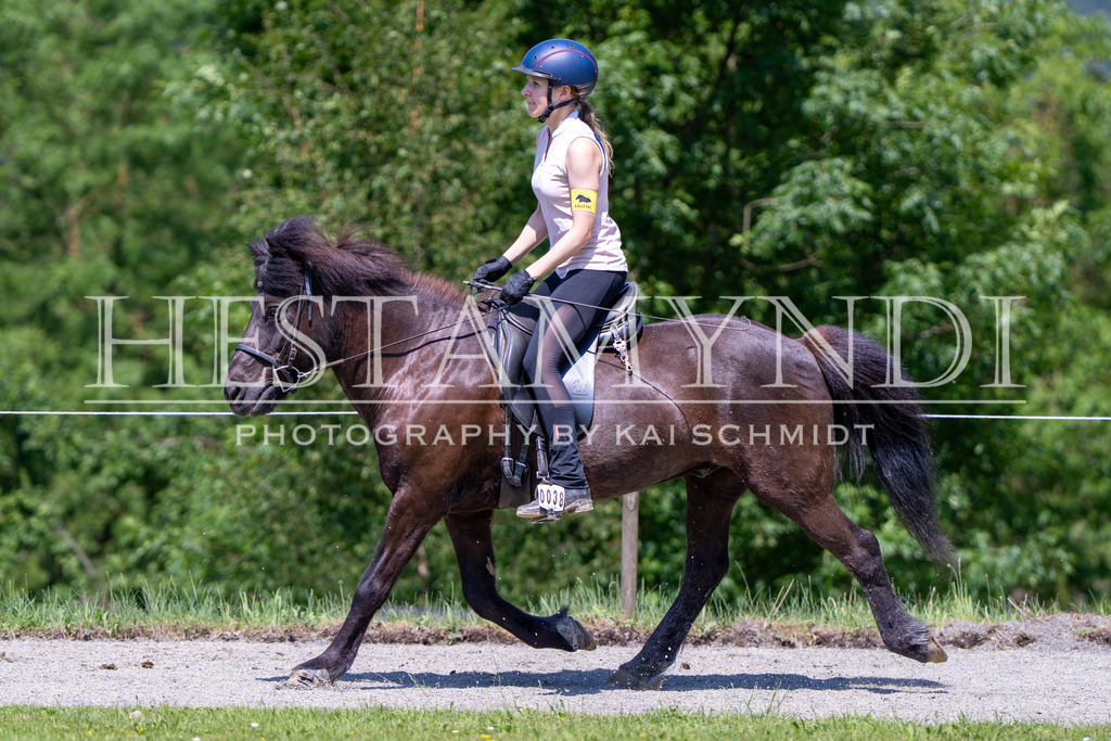 KAI04512 | Ihr sucht einen Fotografen für eure nächste OSI? Ich begleite auch euer Turnier für Islandpferde fotografisch.  - Realisiert mit Pictrs.com