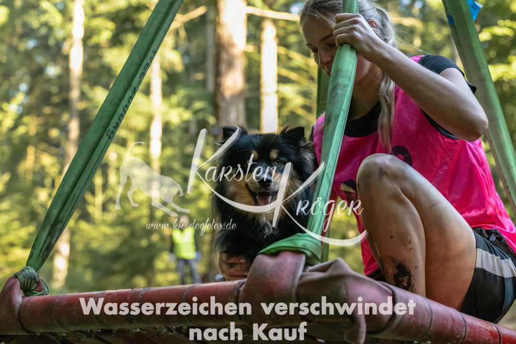 0947_ZZ91923-Bearbeitet | kk-dogfotos