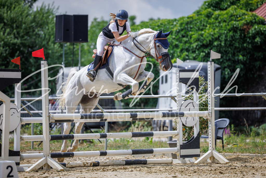 20260705-_3LI4612 | Tierfotografie Pferde, Hunde, Katzen, Haustiere.
Turnierfotografie Reitturniere, Reiten, Springreiten, Dressur in Hanau, dem Main-Kinzig-Kreis und dem Rhein-Main- Gebiet um Frankfurt