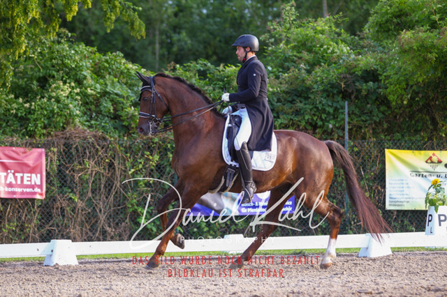 DKP41600 | Turniersportfotografie; Pferdefotografie; Dressurfotografie