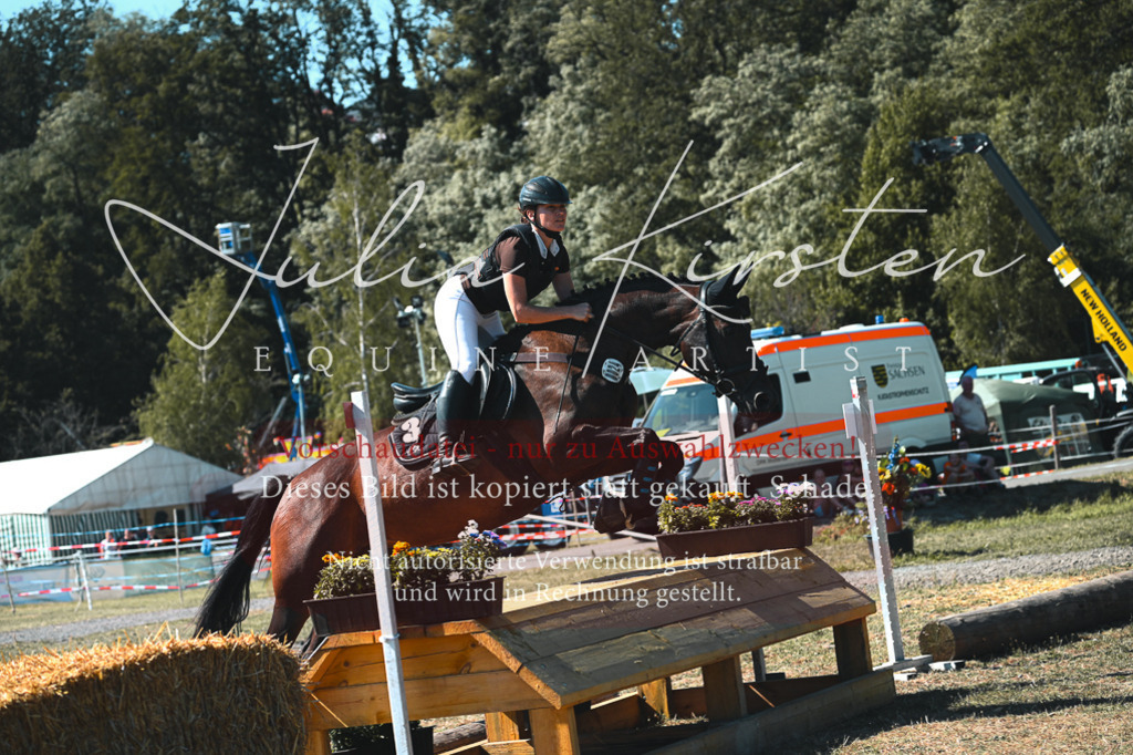 DSC_8224 | Pferde- und Turnierfotografie in Westsachsen. Pferdeportraits, Auftragszeichnungen und intuitive Kunst.