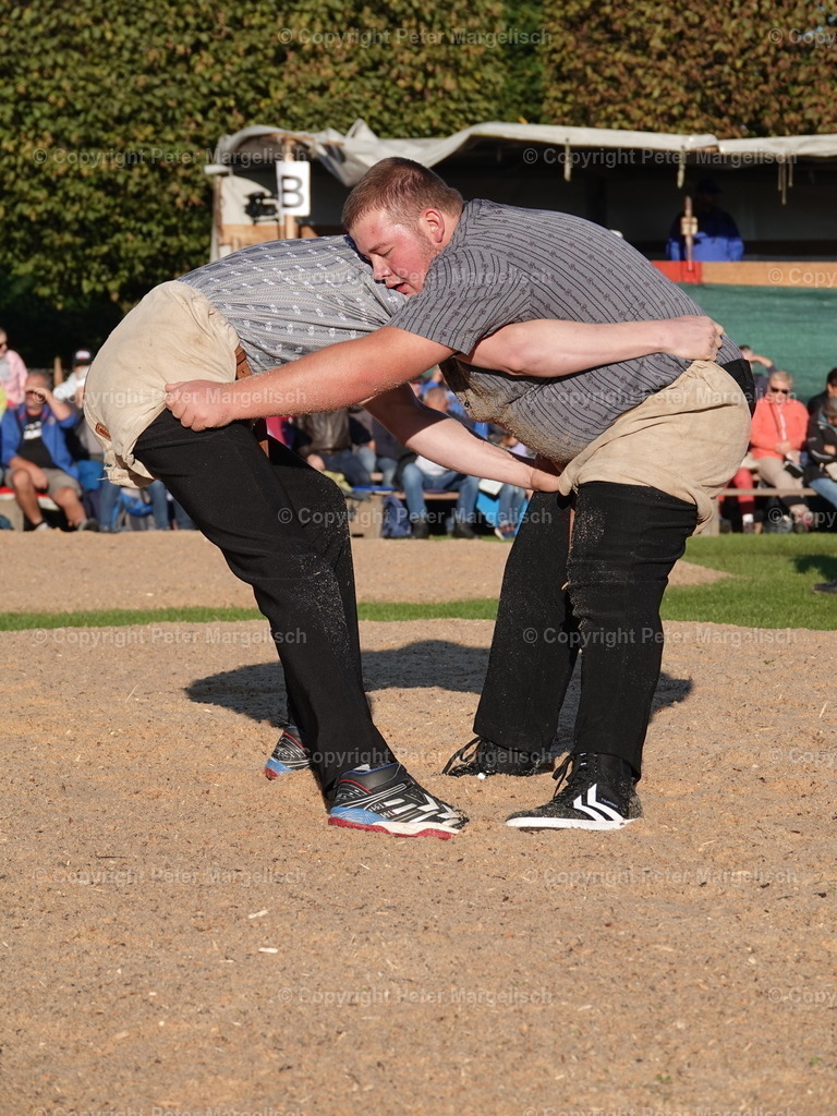 DSC05521 | Schwingen - Realisiert mit Pictrs.com