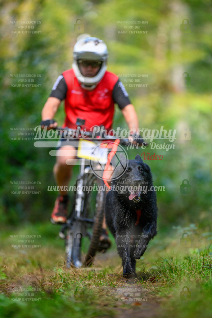 MompixPhotography_Yens2025_B1-9 | PayLife