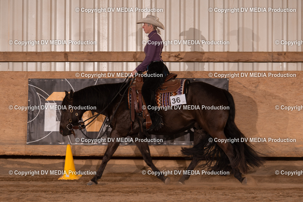 Unbenannt-9 | dv-media-shop - Realisiert mit Pictrs.com