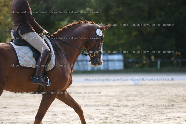 HG9A7738 | laurarinckfotografie - Realisiert mit Pictrs.com