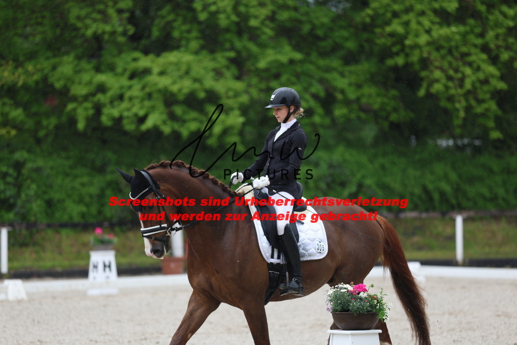 A40A7850 | lmwpictures - Realisiert mit Pictrs.com