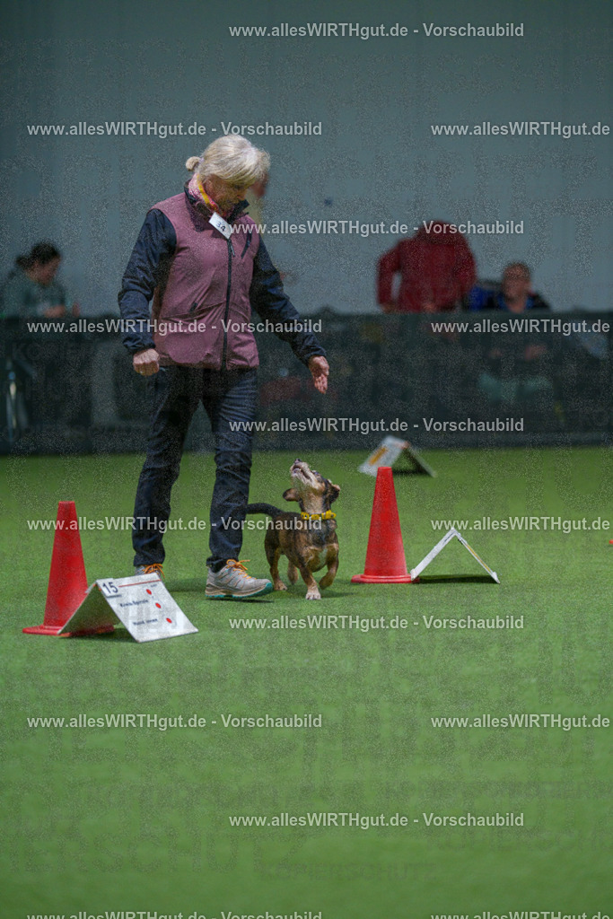 7R505901 | Professionelle Tierfotografie in Mönchengladbach von Daniel Wirth (allesWIRTHgut). Liebevolle & natürliche Bilder von Hunden & Katzen für unvergessliche Erinnerungen.