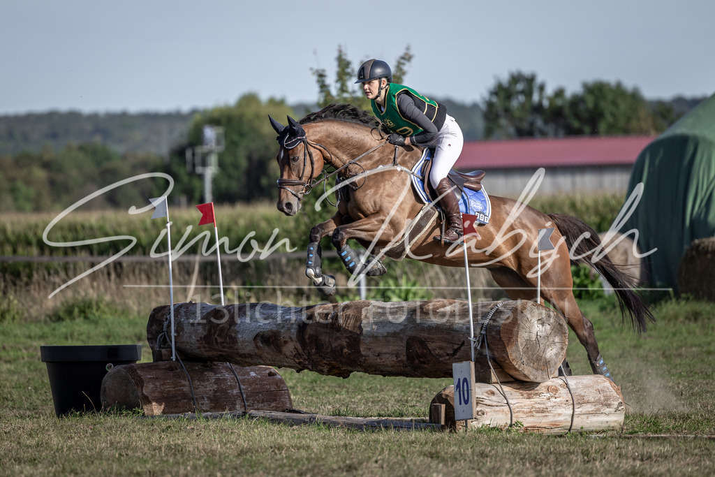 20250907-_3LI4010 | Tierfotografie Pferde, Hunde, Katzen, Haustiere.
Turnierfotografie Reitturniere, Reiten, Springreiten, Dressur in Hanau, dem Main-Kinzig-Kreis und dem Rhein-Main- Gebiet um Frankfurt