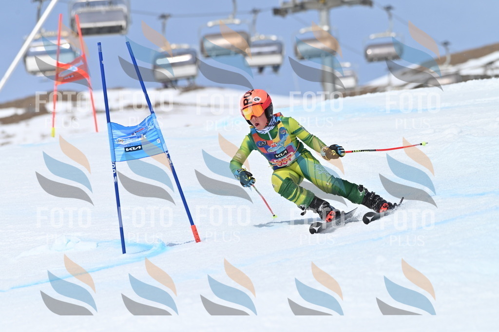 BGV_3781 | holidayphoto