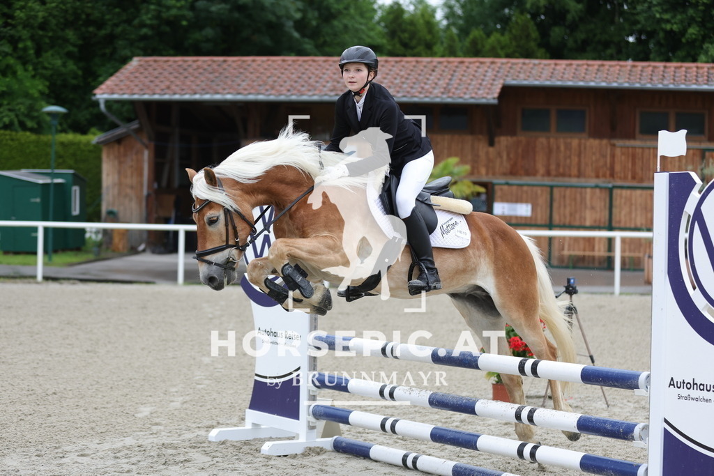 0P6A8467 | Willkommen bei Brunnmayr - Design & Fotografie – Ihrem Spezialisten für Reitturniere und Pferdeveranstaltungen in Oberösterreich, Salzburg und Bayern! Seit über 17 Jahren sind wir leidenschaftlich dabei.
