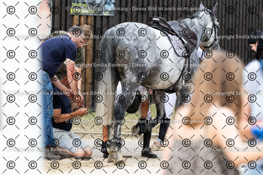 CL5A8074 | Emilia Reinking Fotografie - Realisiert mit Pictrs.com