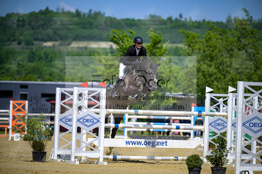 Reitturnier Lienen | Entdecke hochwertige Reitturnierfotos von Foto Oger. Professionell, emotional und authentisch – jetzt Lieblingsmomente im Shop bestellen. - Realisiert mit Pictrs.com