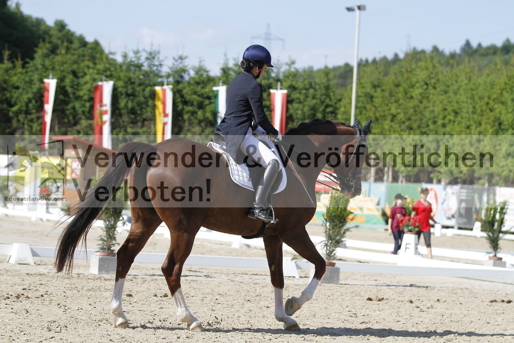 _MG_3001 | equestrian-live-com