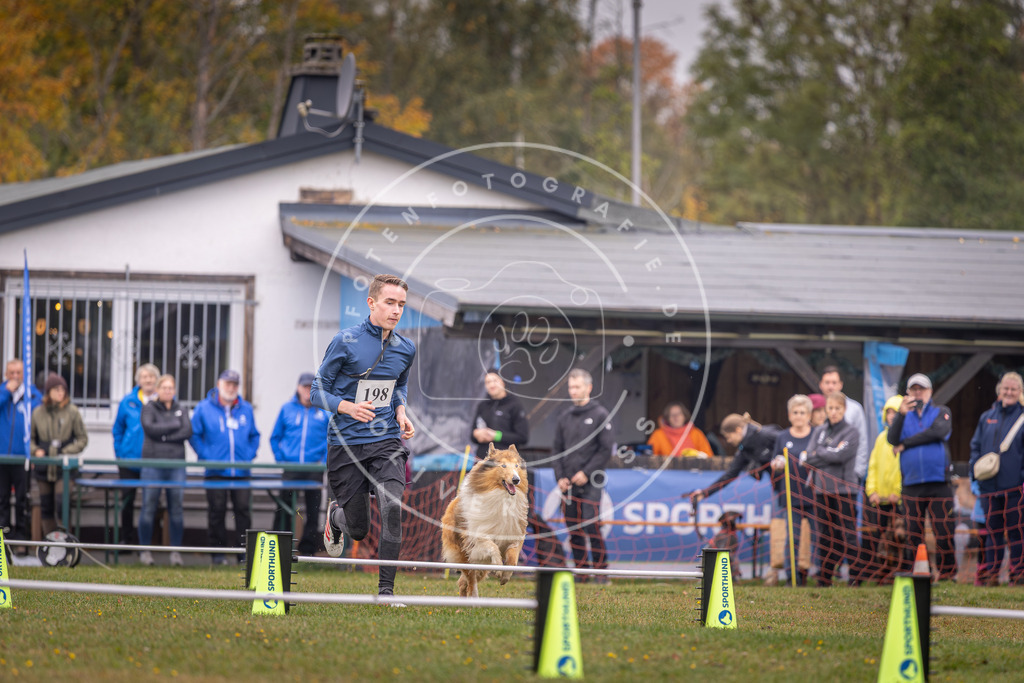 Pfotenfotografie_DV3A0765 | Hundefotografie, Tierfotograf, Pfotenfotografie, Fotoshooting Hund, Hunde Portrait, Hundesport, Hundeportraits, Heideshooting, Hunde, Sportfotograf, Hundefotograf, Turnierhundsport, THS,  - Realisiert mit Pictrs.com
