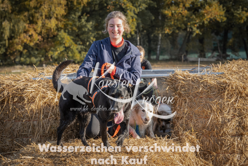 0948_ZZ94874 | kk-dogfotos