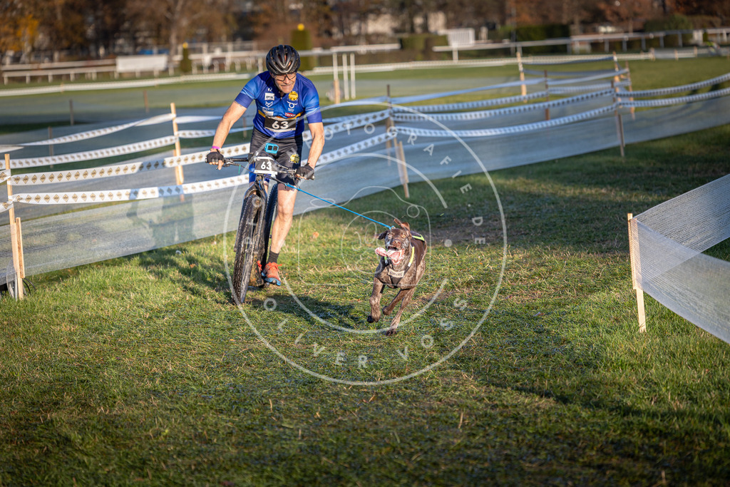 CaniXpix_0L8A3119 | Hundefotografie, Tierfotograf, Pfotenfotografie, Fotoshooting Hund, Hunde Portrait, Hundesport, Hundeportraits, Heideshooting, Hunde, Sportfotograf, Hundefotograf, Turnierhundsport, THS,  - Realisiert mit Pictrs.com
