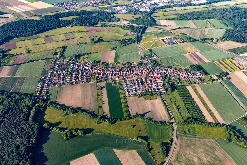 Luftbild: Ortsansicht aus Norden in Erlenbach bei Kandel im Bundesland Rheinland-Pfalz in Deutschland. Foto: IMG_132227.jpg vom 28.05.2022 durch Werner Riehm/FLY-FOTO.de